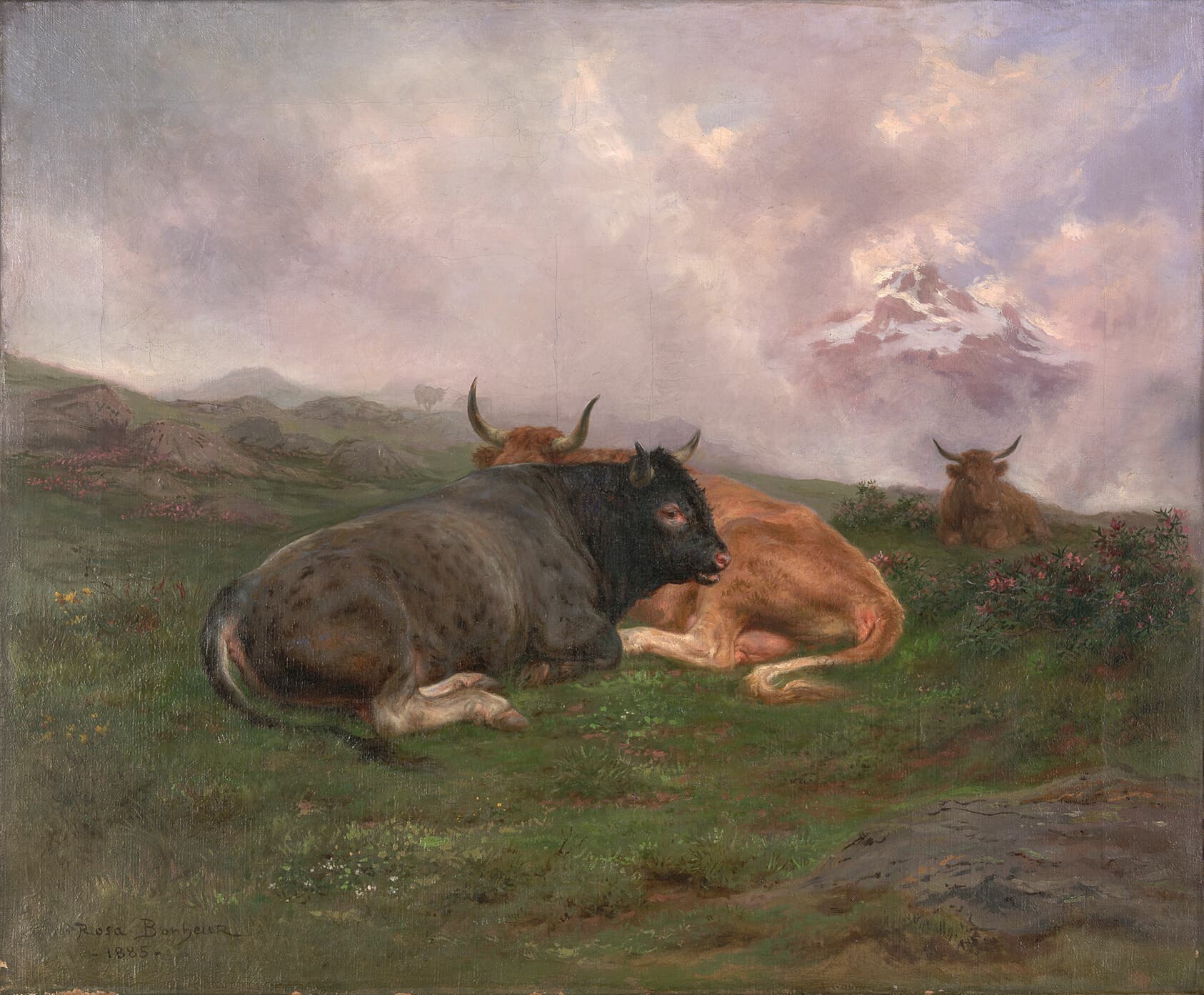 Painting of black and tan cattle lying on short, green grass with a cloudy mountain top view behind them.